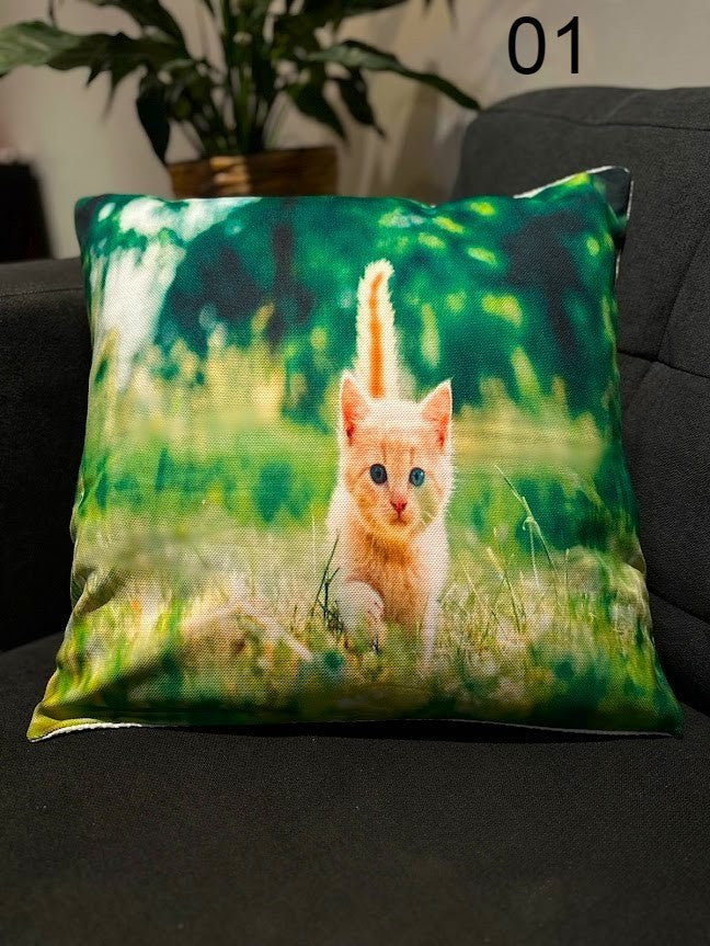 Cat Photos Printed Cushion Covers 17'x17'