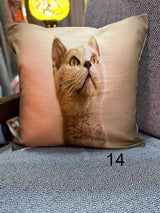 Cat Photos Printed Cushion Covers 17'x17'